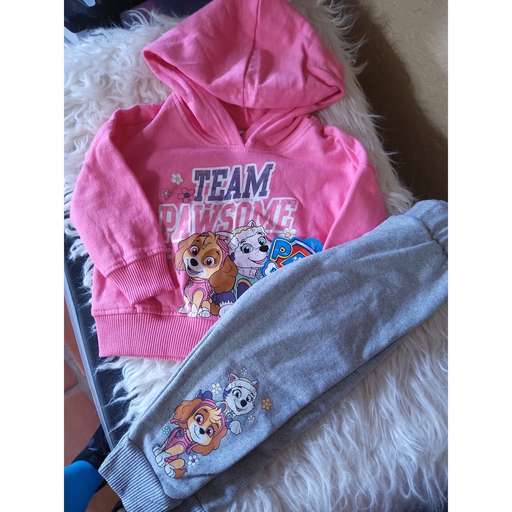 Paw Patrol Nickelodeon Girls Pink Hoodie and Gray Jogger Pants Set 12M